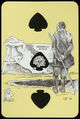 Card 13