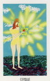 The Sun