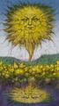 The Sun