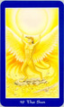The Sun