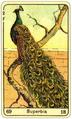 2 of Wands