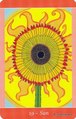 The Sun