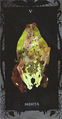 The Hierophant