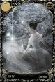 The Star