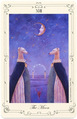 The Moon