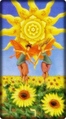 The Sun