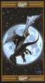 The Moon