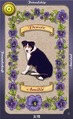Card 08