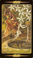 The Star