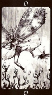 Secret Forest (Reverse)