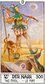 The Fool