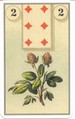 Clover