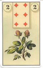 Clover