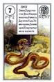Snake