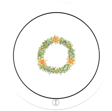 Transparent Oracle