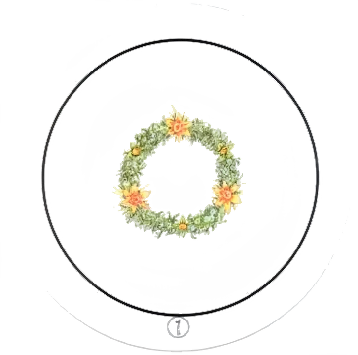 Transparent Oracle