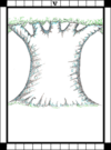 The Hierophant