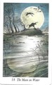 The Moon