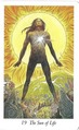 The Sun