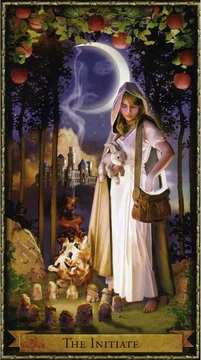Wizards (2011)