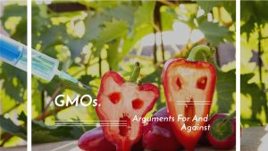 GMOs. Arguments For And Against